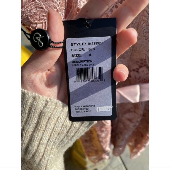 NWT Adrianna Papell‎ Sweetheart Strapless Lace Sheath Dress in Blush [size 4 ] - Picture 7 of 8